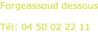 Forgeassoud dessous  Tél: 04 50 02 22 11